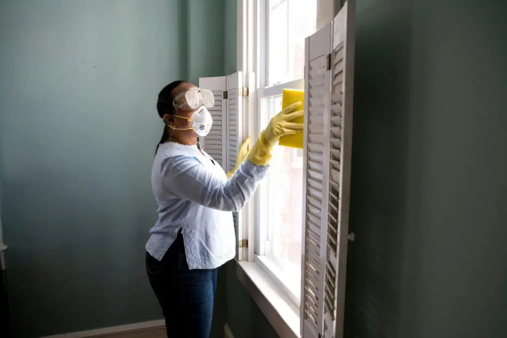 is professional window cleaning worth it
