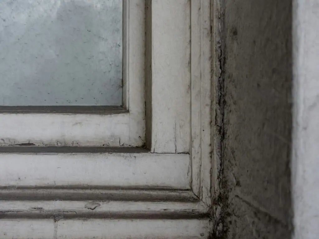 Close-up of a weathered painted window frame with dirt built up in the joint